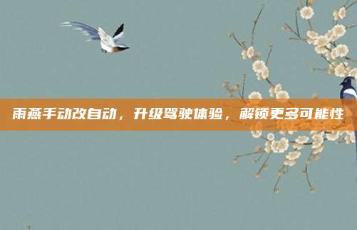 雨燕手动改自动，升级驾驶体验，解锁更多可能性