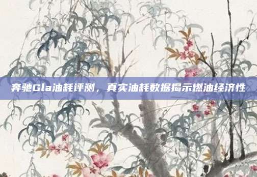 奔驰Gla油耗评测，真实油耗数据揭示燃油经济性