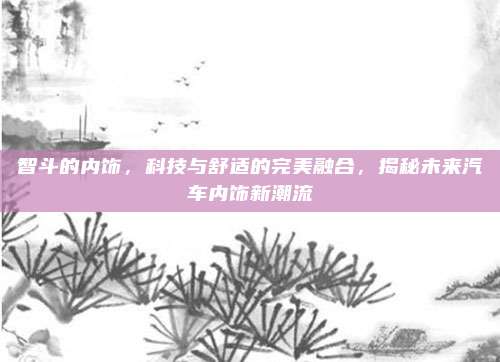 智斗的内饰，科技与舒适的完美融合，揭秘未来汽车内饰新潮流