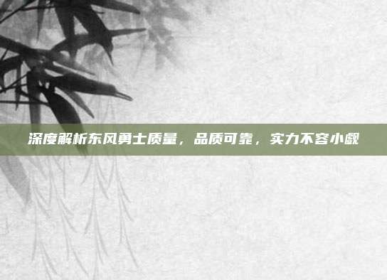 深度解析东风勇士质量，品质可靠，实力不容小觑
