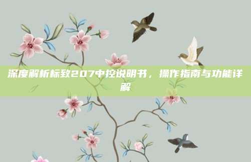 深度解析标致207中控说明书，操作指南与功能详解