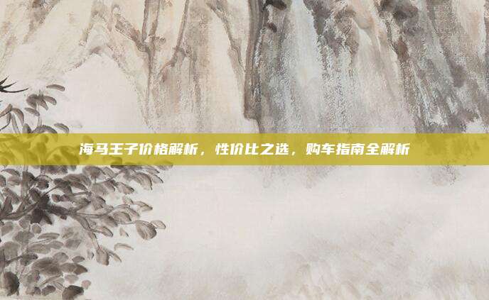 海马王子价格解析，性价比之选，购车指南全解析