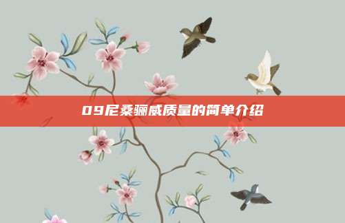 09尼桑骊威质量的简单介绍