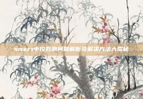 smart中控异响问题解析及解决方法大揭秘