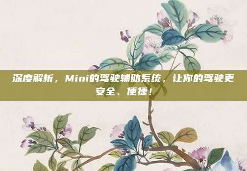 深度解析,Mini的驾驶辅助系统,让你的驾驶更安全、便捷!