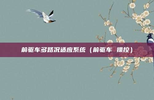 前驱车多路况适应系统(前驱车 操控)
