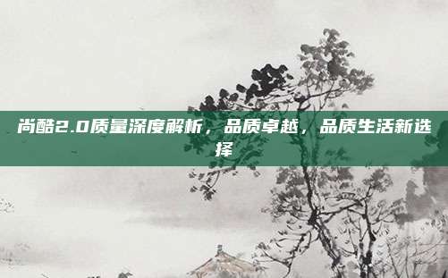 尚酷2.0质量深度解析,品质卓越,品质生活新选择