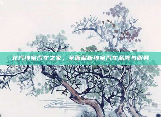 北汽绅宝汽车之家，全面解析绅宝汽车品牌与服务