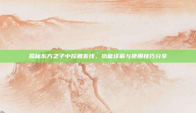 揭秘东方之子中控触发线，功能详解与使用技巧分享