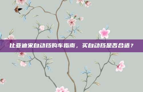 比亚迪宋自动挡购车指南，买自动挡是否合适？