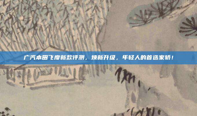广汽本田飞度新款评测，焕新升级，年轻人的首选家轿！