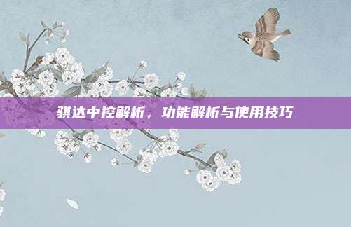 骐达中控解析,功能解析与使用技巧