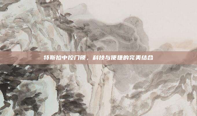 特斯拉中控门锁，科技与便捷的完美结合