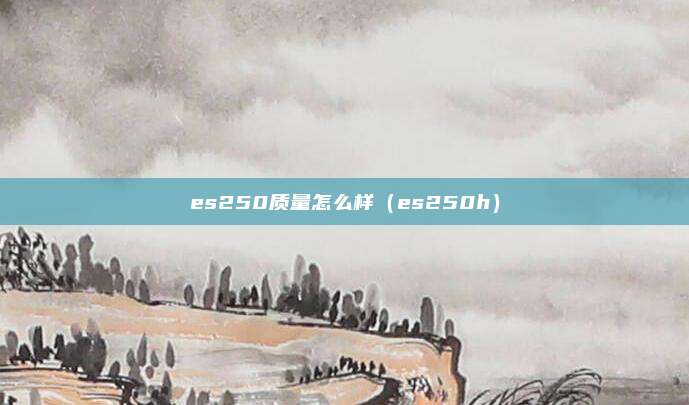 es250质量怎么样（es250h）