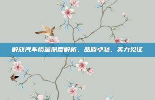 解放汽车质量深度解析，品质卓越，实力见证