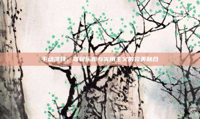 手动凌特,驾驭乐趣与实用主义的完美融合