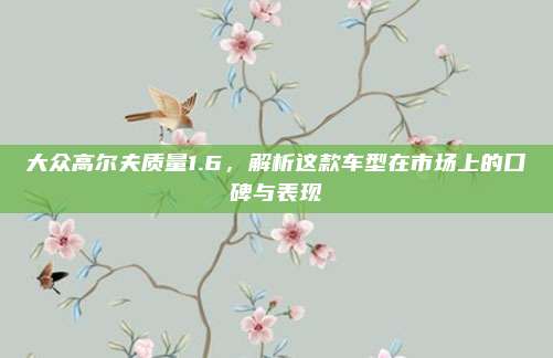 大众高尔夫质量1.6,解析这款车型在市场上的口碑与表现