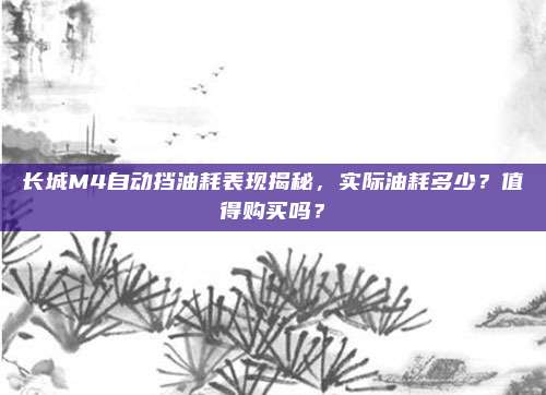 长城M4自动挡油耗表现揭秘,实际油耗多少?值得购买吗?