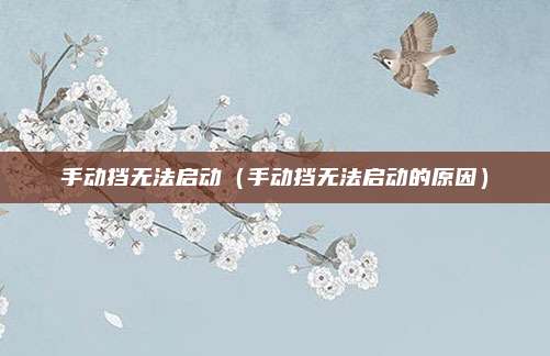 手动挡无法启动（手动挡无法启动的原因）