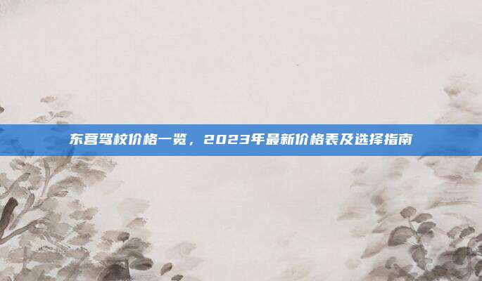 东营驾校价格一览，2023年最新价格表及选择指南