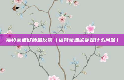 福特蒙迪欧质量反馈(福特蒙迪欧都是什么问题)