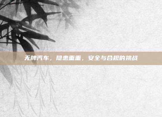 无牌汽车，隐患重重，安全与合规的挑战