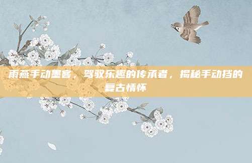 雨燕手动墨客,驾驭乐趣的传承者,揭秘手动挡的复古情怀