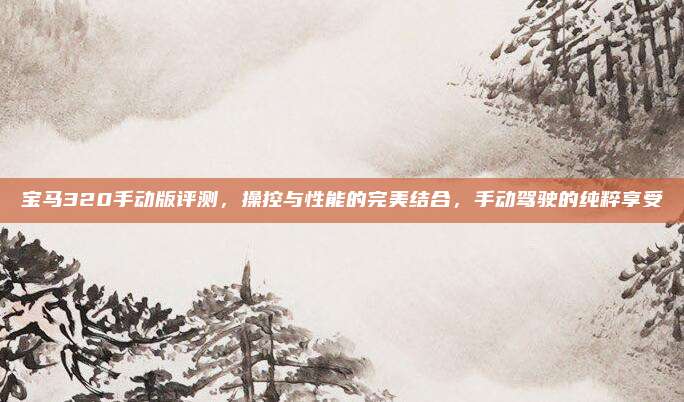 宝马320手动版评测,操控与性能的完美结合,手动驾驶的纯粹享受