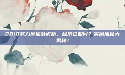 2010款力狮油耗解析，经济性如何？实测油耗大揭秘！