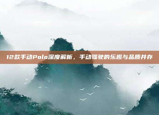 12款手动Polo深度解析,手动驾驶的乐趣与品质并存