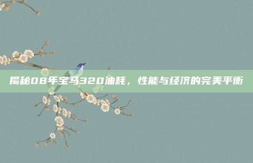 揭秘08年宝马320油耗，性能与经济的完美平衡
