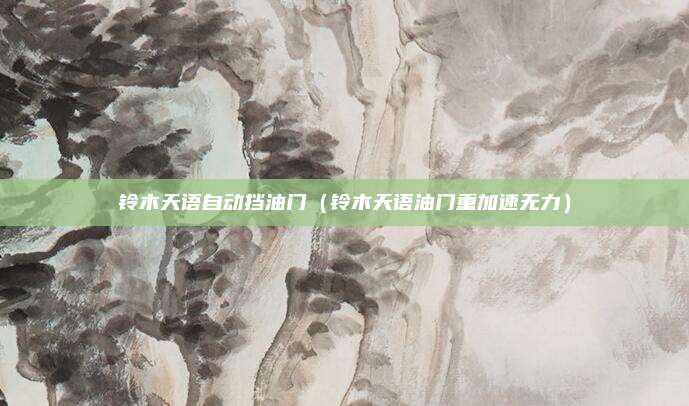 铃木天语自动挡油门(铃木天语油门重加速无力)