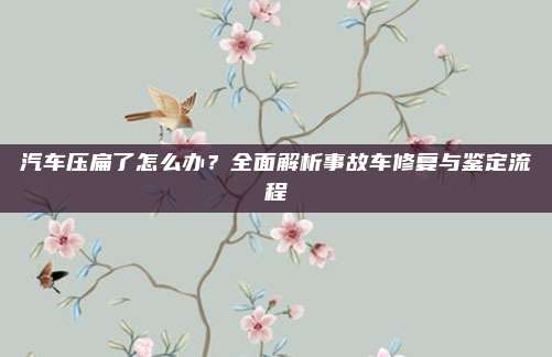 汽车压扁了怎么办？全面解析事故车修复与鉴定流程