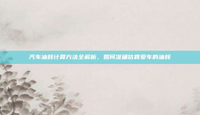 汽车油耗计算方法全解析，如何准确估算爱车的油耗
