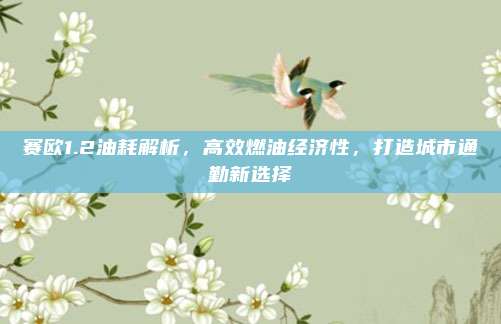 赛欧1.2油耗解析，高效燃油经济性，打造城市通勤新选择