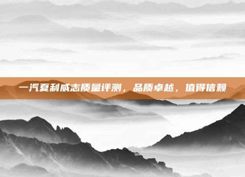 一汽夏利威志质量评测，品质卓越，值得信赖