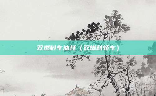 双燃料车油耗（双燃料轿车）