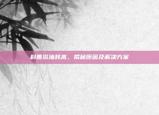 科鲁滋油耗高,揭秘原因及解决方案