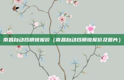 南昌自动挡明锐报价（南昌自动挡明锐报价及图片）