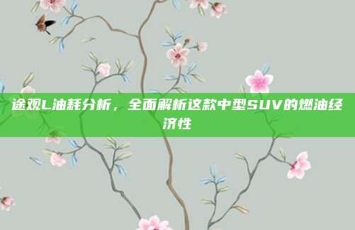 途观L油耗分析，全面解析这款中型SUV的燃油经济性