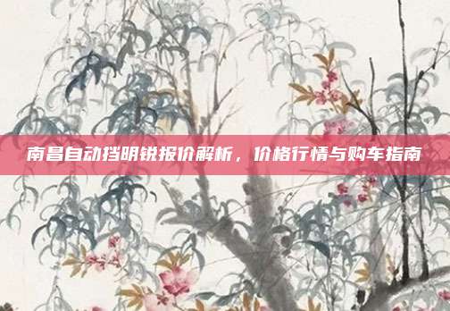 南昌自动挡明锐报价解析，价格行情与购车指南