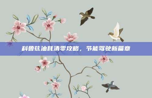 科鲁兹油耗清零攻略，节能驾驶新篇章