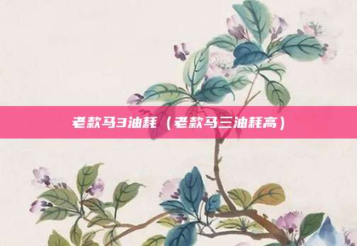 老款马3油耗(老款马三油耗高)