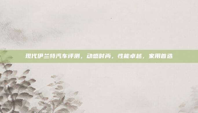 现代伊兰特汽车评测，动感时尚，性能卓越，家用首选
