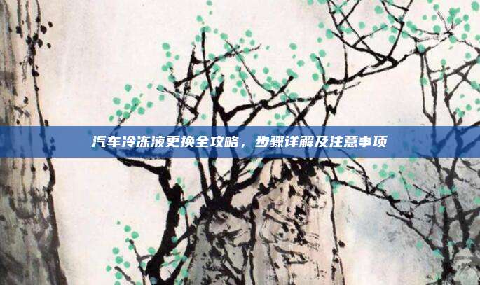 汽车冷冻液更换全攻略，步骤详解及注意事项