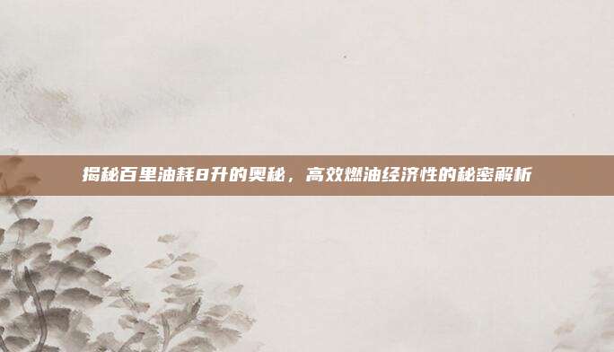 揭秘百里油耗8升的奥秘,高效燃油经济性的秘密解析