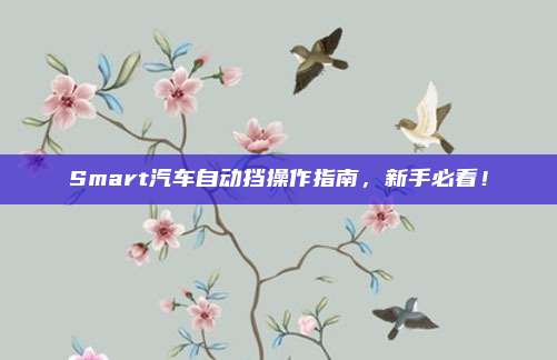 Smart汽车自动挡操作指南，新手必看！