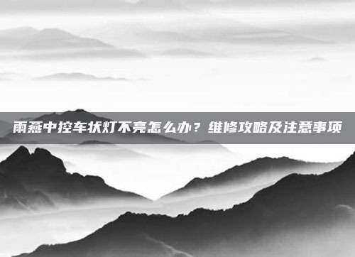 雨燕中控车状灯不亮怎么办？维修攻略及注意事项