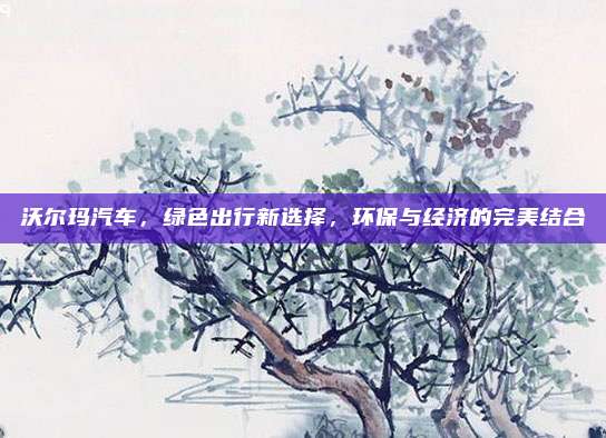 沃尔玛汽车，绿色出行新选择，环保与经济的完美结合