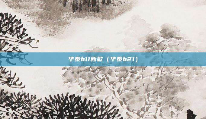 华泰b11新款（华泰b21）